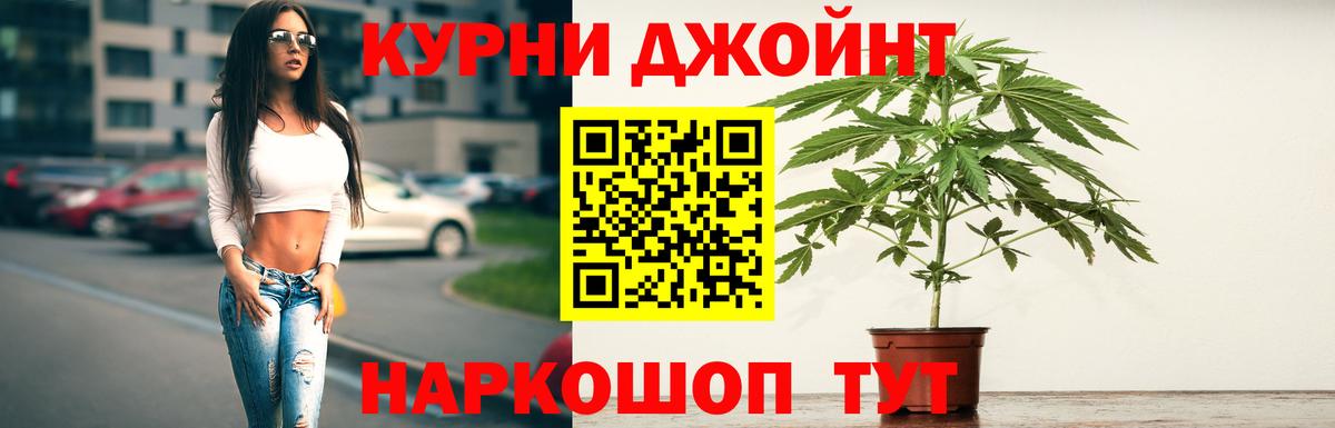 Шишки марихуана Bruce Banner  Вход с VPN  Сальск  Бошки марихуана Amnesia  Марихуана конопля 